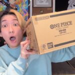 ONE PIECEカード最新弾の双璧の覇者を1カートン開封します！！！