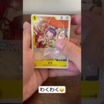 兄弟来た🔥ワンピースカード謀略の王国