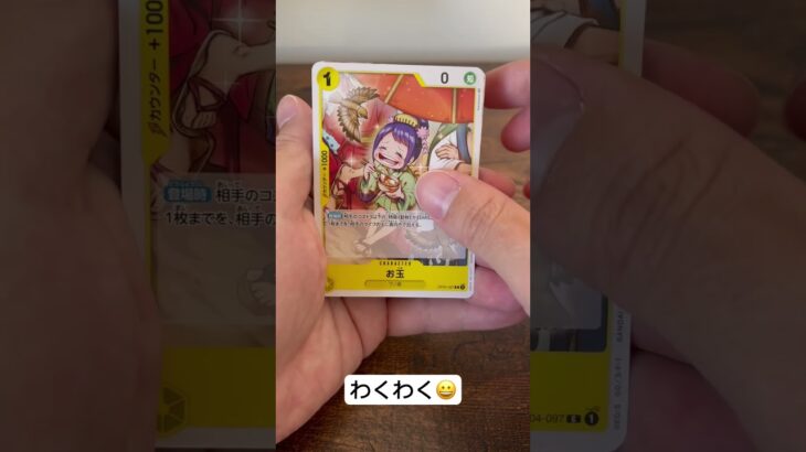 兄弟来た🔥ワンピースカード謀略の王国