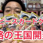 【ワンピース】謀略の王国 カード開封！！