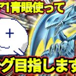 ブルーアイズでラッシュデュエルキング目指しますか【Vtuber/遊戯王デュエルリンクス/YuGiOhDuelLinks】