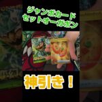 【ポケカ】神引き　変幻の仮面　スペシャルジャンボカードセットオーガポン　バラ　開封