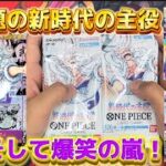 【ワンピース】話題の新時代の主役開封！！遂に玉ねぎ事件終幕！ コミパラが出るまで#8 【トレカ】