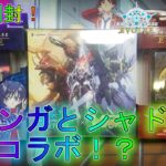 【シャドバエボルヴ】ヴァンガードのカードたちがエボルヴに参戦！？BOX開封！新弾デッキ解説実況【シャドウバース】【shadowverse】最強EVOLVEブースタースターター聖域の騎士団黙示録の炎