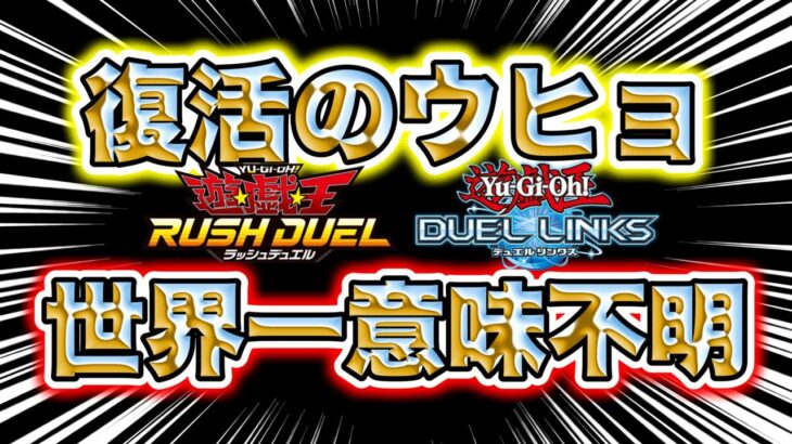 【ラッシュデュエル】復活した大沼不審者、ラッシュとかいうｸｿﾊﾞｶﾀﾚｹﾞｰﾑでリハビリしてちゃんと世界一意味不明ｯｯｯｯｯｯｯｯｯｯｯｯ!!!!!!【遊戯王DUEL LINKS/レッドアイズキング】