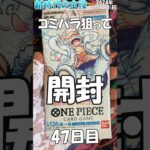 【ワンピカード】#shorts コミパラニカルフィを狙って #onepiece #onepiececardgame  #ワンピースカード開封