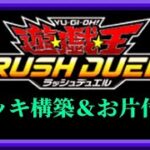 【ラッシュデュエル】メインデッキ弄りとカードお片付け枠【遊戯王ラッシュデュエル】