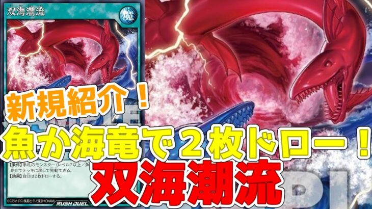 【ラッシュデュエル】新規紹介！双海潮流！魚族か海竜族で使える２枚ドロー！！！【遊戯王】