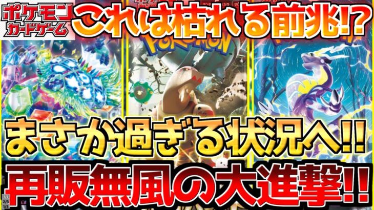 【ポケカ】株ポケの供給を上回る大進撃!!再販に徹底抗戦する人気サポート達!!【ポケモンカード最新情報】Pokemon Cards