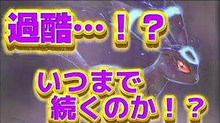 【衝撃】SAR出るまで剥き続けたら過去1の過酷企画に！？【ポケカ】