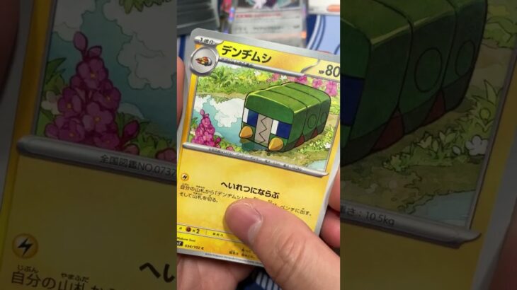 最新弾ステラミラクルがヤバすぎた #pokemontcg #ポケモン #ポケカ