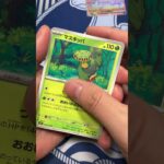 最新弾ステラミラクルがヤバすぎた #pokemontcg #ポケモン #ポケカ