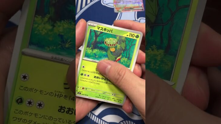 最新弾ステラミラクルがヤバすぎた #pokemontcg #ポケモン #ポケカ