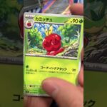 最新弾ステラミラクルがヤバすぎた #pokemontcg #ポケモン #ポケカ