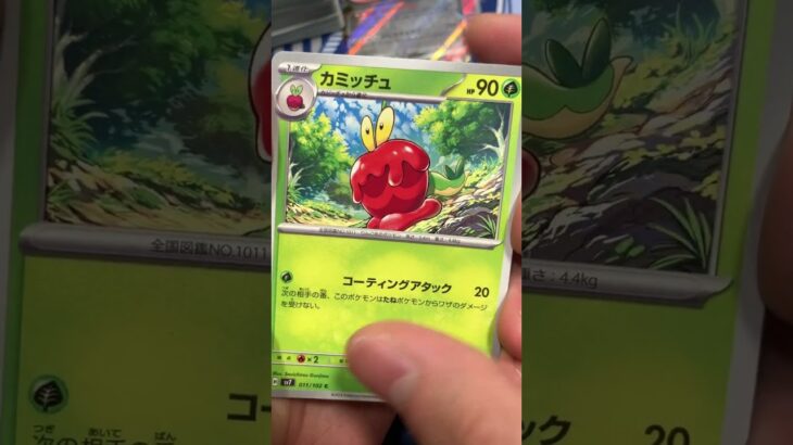 最新弾ステラミラクルがヤバすぎた #pokemontcg #ポケモン #ポケカ