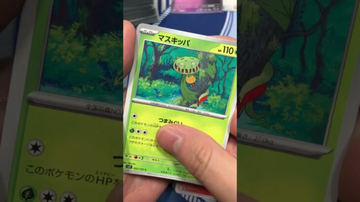 最新弾ステラミラクルがヤバすぎた #pokemontcg #ポケモン #ポケカ