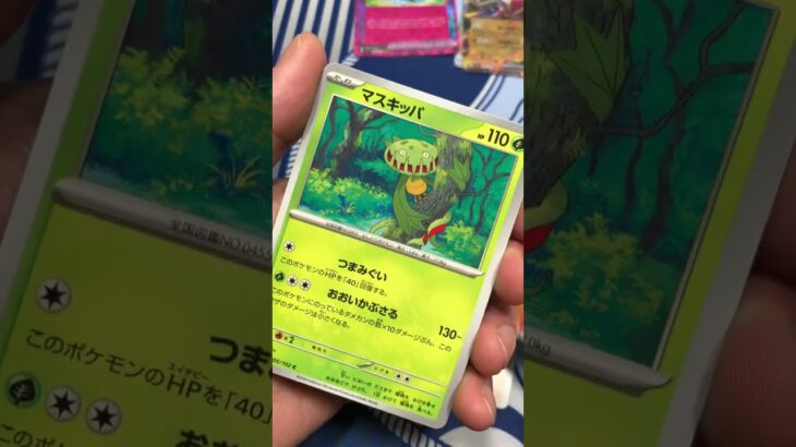 最新弾ステラミラクルがヤバすぎた #pokemontcg #ポケモン #ポケカ