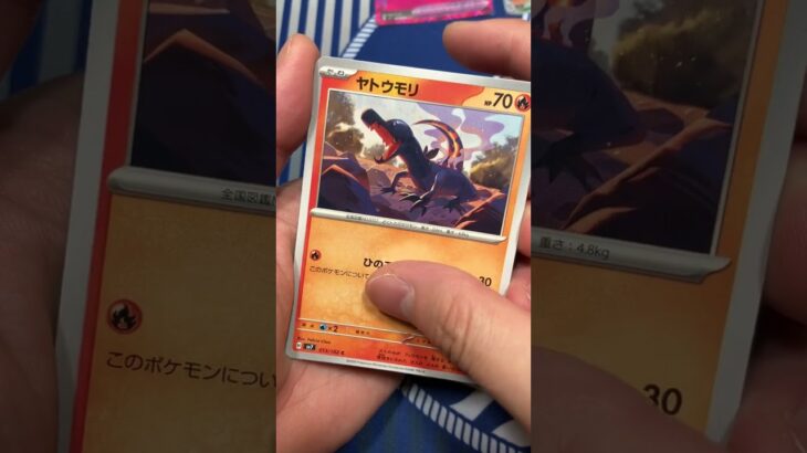 最新弾ステラミラクルがヤバすぎた #pokemontcg #ポケモン #ポケカ