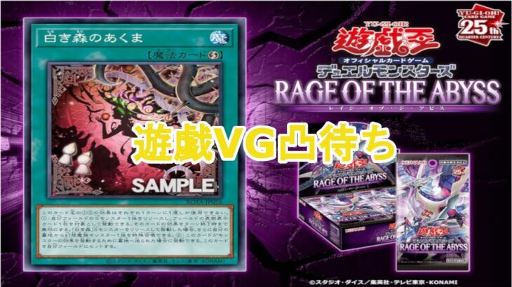 遊戯王とヴァンガード対戦配信