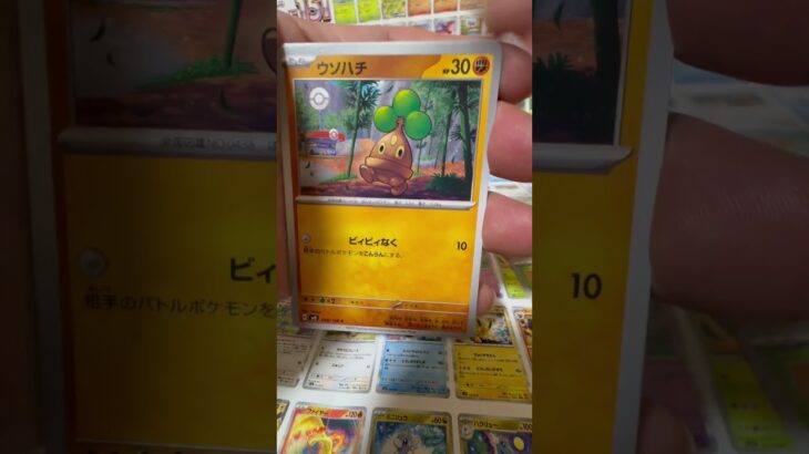 ポケカ開封:黒炎の支配者　2024.8.2 まさかの１００円SALE！　大丈夫か？イトーヨーカドー😭　#pokemoncards #pokemon #ポケカ #ポケモン