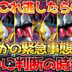 【ポケカ】ロストアビス再販でまさかの状況へ!!ここが最後の分岐点!!【ポケモンカード最新情報】Pokemon Cards