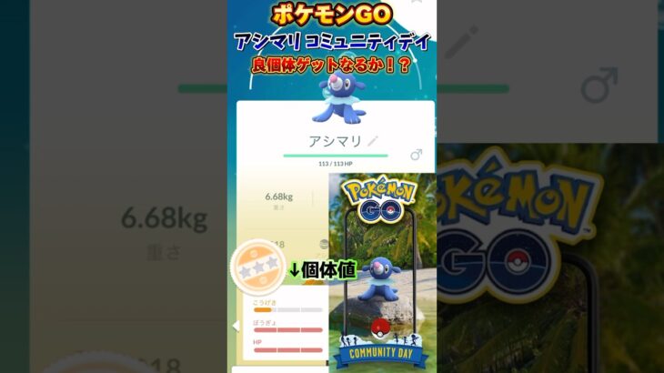 【Pokémon GO】アシマリ コミュニティデイで良個体ゲットなるか！？【ポケモンGO】