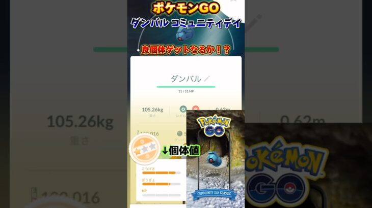 【Pokémon GO】ダンバル コミュニティデイで良個体ゲットなるか！？【ポケモンGO】