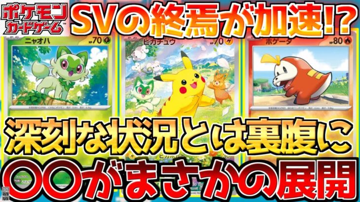 【ポケカ】ポケカの夏プロモがまさかの状況に!SVシリーズのBOX価格がやばい…!!【ポケモンカード最新情報】Pokemon Cards