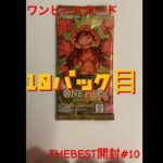 【ワンピースカード THE BEST開封】新弾プレミアムブースターで超稀100万越えゴッドパック＆ナミのパラレルを狙う！#10