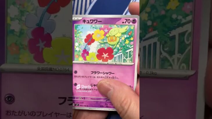 最新弾ステラミラクルがヤバすぎた #pokemontcg #ポケモン #ポケカ