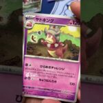 最新弾ステラミラクルがヤバすぎた #pokemontcg #ポケモン #ポケカ