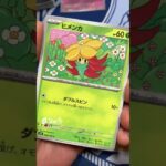 最新弾ステラミラクルがヤバすぎた #pokemontcg #ポケモン #ポケカ