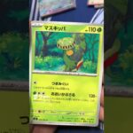 最新弾ステラミラクルがヤバすぎた #pokemontcg #ポケモン #ポケカ