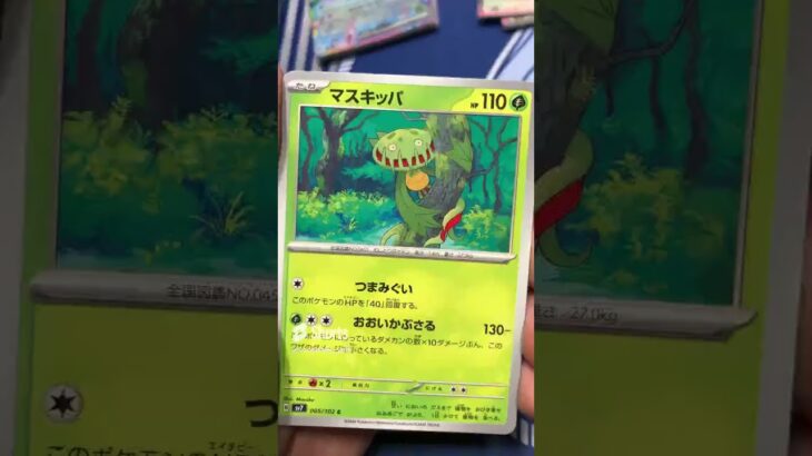 最新弾ステラミラクルがヤバすぎた #pokemontcg #ポケモン #ポケカ