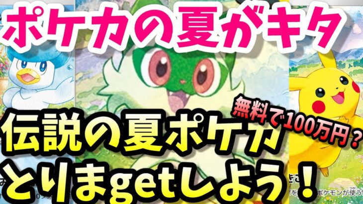 夏ポケカは無料で１００万円！？超かわいいポケカを無料でもらっちゃおう！８月１０日から早い者勝ちで配布開始中！！　ポケモンカード　ずんだもん　ゆっくり解説