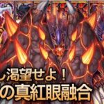 【新時代】脅威の進化先！真紅眼フュージョン【#ラッシュデュエル】【#遊戯王】【#対戦動画】