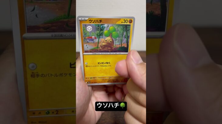 ハラバリーを知ってるかい！？ポケモンカード　黒炎の支配者