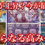 【ポケカ情報】価格帯に変化が！？人気カード達の価格上昇が！？