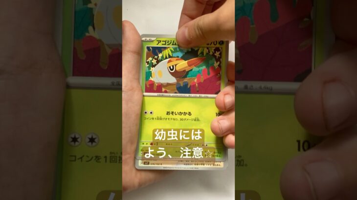 【ポケカ】4日前に新弾の座を奪われた「ステラミラクル」を開封！！