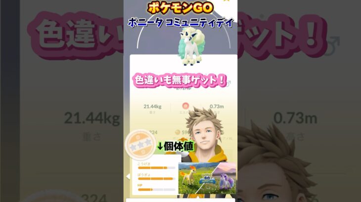 【Pokémon GO】ポニータ コミュニティデイで良個体ゲットなるか！？【ポケモンGO】