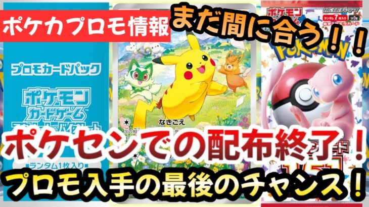 【ポケモンカード】プロモキャンペーン終了！？まだカドショでは入手可能！！プロモピカチュウは〇〇推奨です！！【ポケカ高騰】