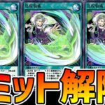 【ラッシュデュエル】リミット解除！鳥呪戦術！【遊戯王デュエルリンクス】