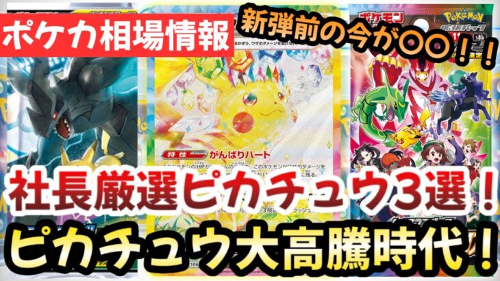 【ポケモンカード】ステラピカチュウexSAR関連カードが激アツ！！今買い時のピカチュウ3選！！ピカチュウ大高騰時代の幕開け！？【ポケカ高騰】