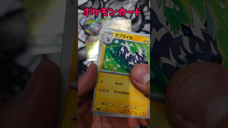 【ポケカ】新弾超電ブレイカー開封したらｗ#ポケカ #ポケモンカード #pokemon #pokemoncards #開封動画 #新弾開封 #ポケモン