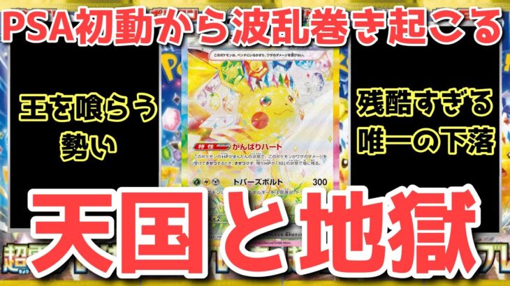 【ポケカ】地の底へ向かう下落！損しない為の最善の立ち回り【ポケカ高騰】