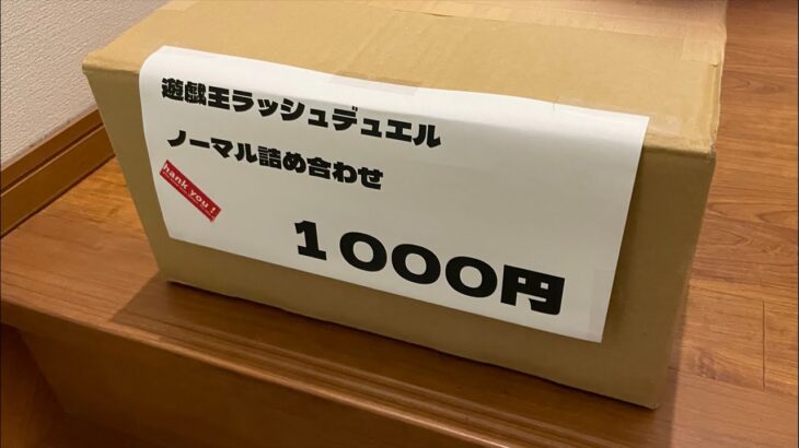 遊戯王ラッシュデュエルノーマル詰め合わせ15kg1000円開封