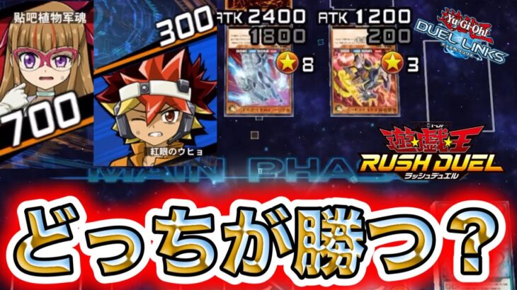 【ラッシュデュエル】このバカタレサイバーとの700vs300で最後の最後に勝った方とは…【遊戯王DUEL LINKS/レッドアイズキング】