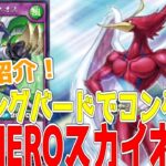 【ラッシュデュエル】新規紹介！E・HEROスカイネオス！HERO強化２枚！コンタクトフュージョンできる風ネオス！！！【遊戯王】