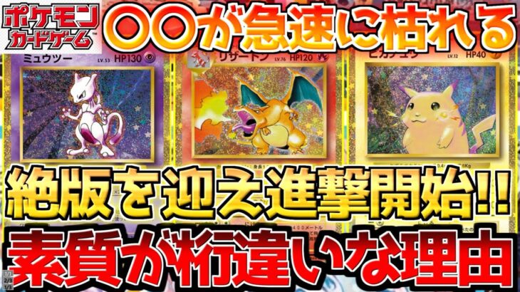 【ポケカ】ようやく日の目を浴びる？ポテンシャルがレベチなわけは〇〇!!【ポケモンカード最新情報】Pokemon Cards