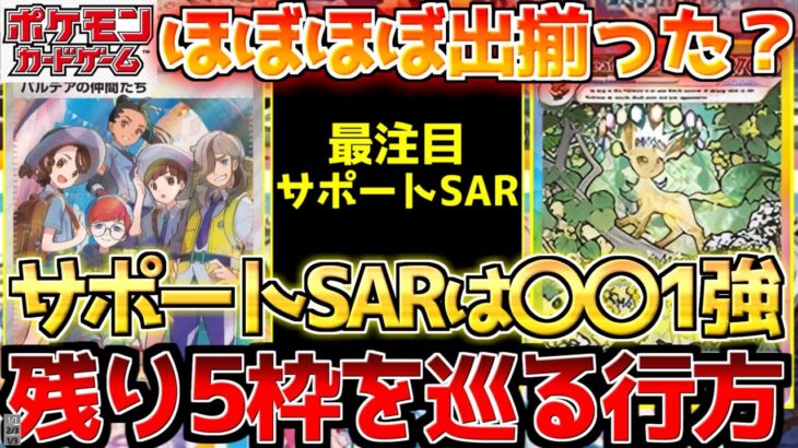 【ポケカ】テラスタルフェス気になるサポートSARの行方!!今回想像以上に少ない？？【ポケモンカード最新情報】Pokemon Cards